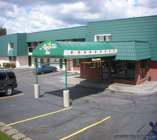Apple Tree Inn Спокен Екстер'єр фото